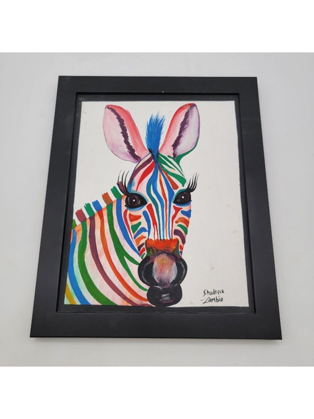 Hand-Painted Colorful Zebra Framed Wall Art By Shadreck Zambia
